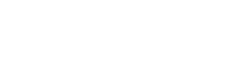 BMG Consultants